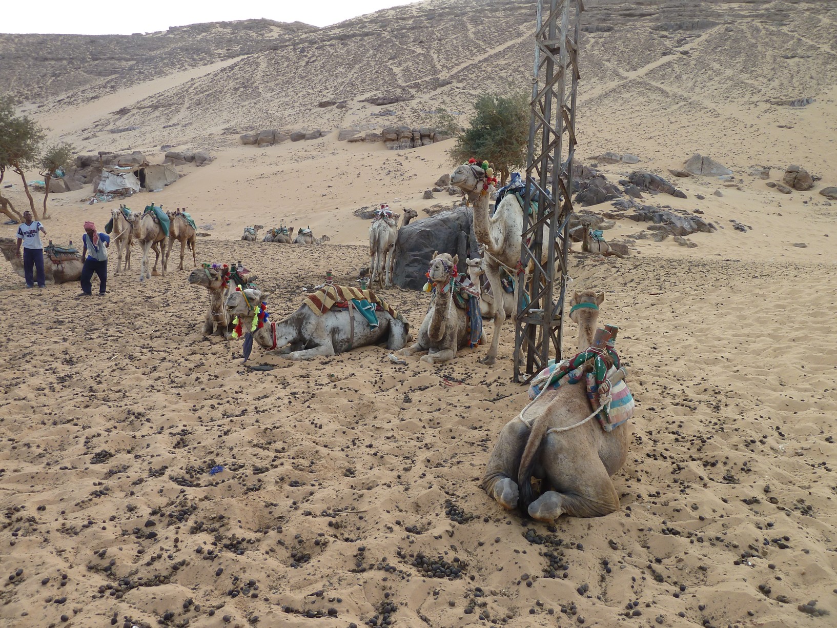 Egypt