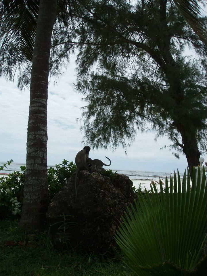 Kena