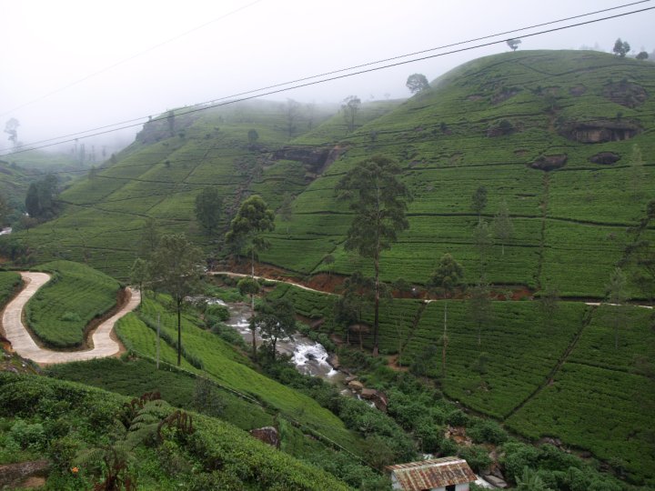 Sri Lanka
