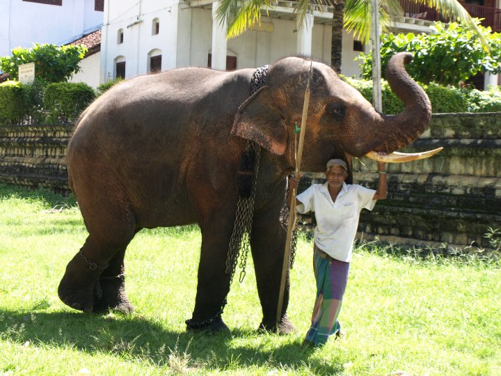 Sri Lanka