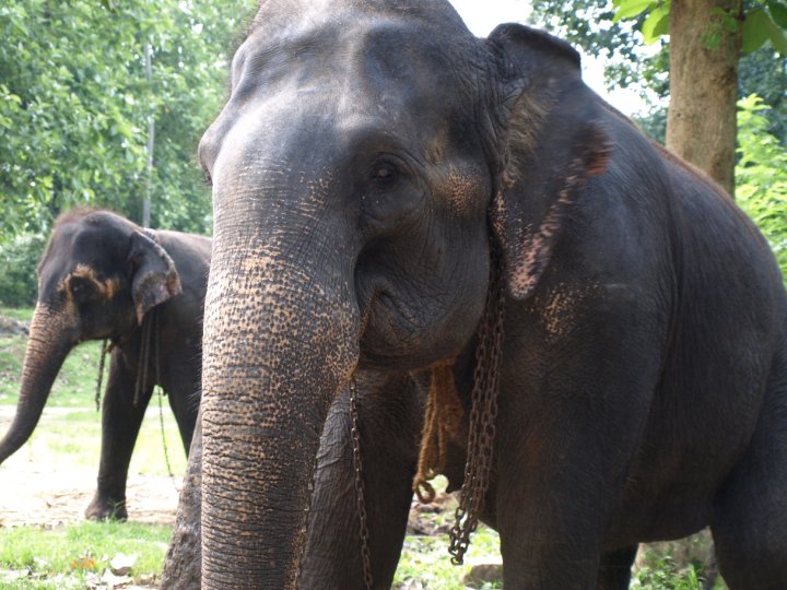 Sri Lanka