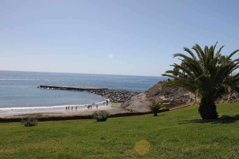 Teneriffe