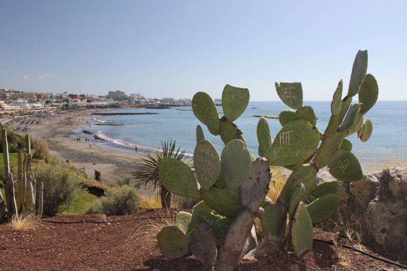 Teneriffe