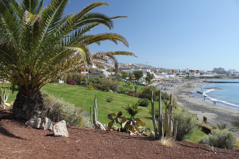 Teneriffe